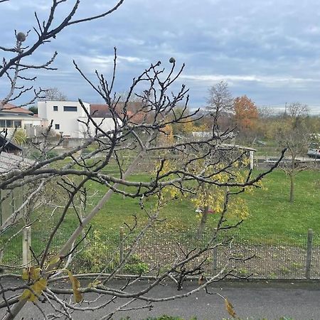 La Grange Proche D'Europapark Διαμέρισμα Kunheim Εξωτερικό φωτογραφία