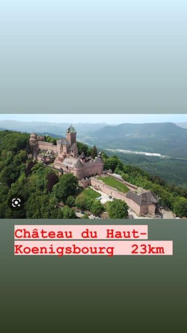 La Grange Proche D'Europapark Διαμέρισμα Kunheim Εξωτερικό φωτογραφία
