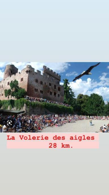 La Grange Proche D'Europapark Διαμέρισμα Kunheim Εξωτερικό φωτογραφία