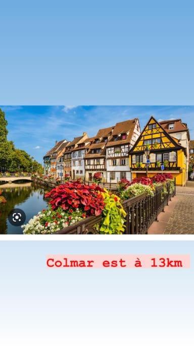 La Grange Proche D'Europapark Διαμέρισμα Kunheim Εξωτερικό φωτογραφία