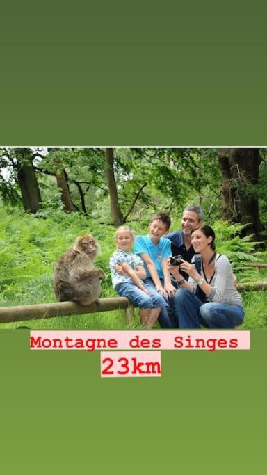La Grange Proche D'Europapark Διαμέρισμα Kunheim Εξωτερικό φωτογραφία